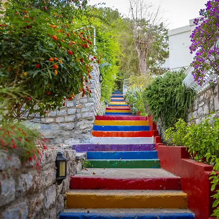 Riva Bodrum Resort- Adult Only +16 3* غومْبيت