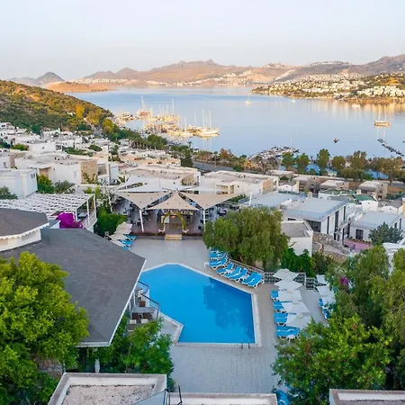 Riva Bodrum Resort- Adult Only +16 Szálloda Gümbet