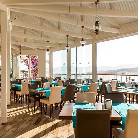 Szálloda Riva Bodrum Resort- Adult Only +16