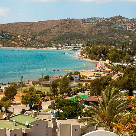 Szálloda Riva Bodrum Resort- Adult Only +16