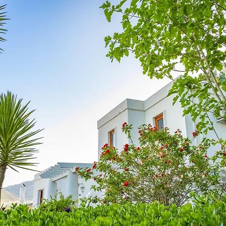 Отель Riva Bodrum Resort- Adult Only +16 3*