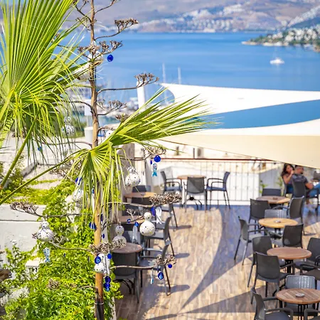 Riva Bodrum Resort- Adult Only +16 Гумбет
