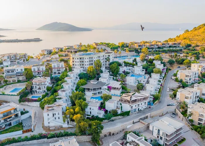 酒店 Riva Bodrum Resort- Adult Only +16 3*
