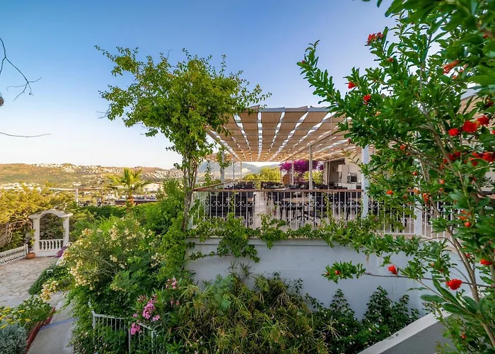 Riva Bodrum Resort- Adult Only +16 酒店