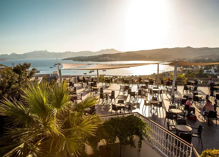 酒店 Riva Bodrum Resort- Adult Only +16